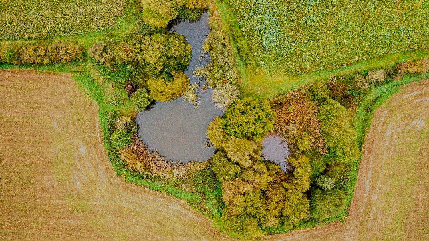 water-features-shotwick-park